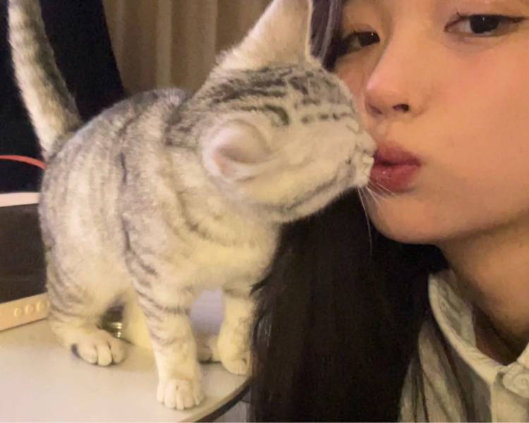艺人背景图