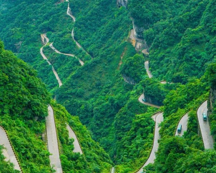 艺人背景图
