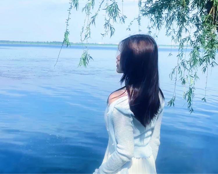 艺人背景图