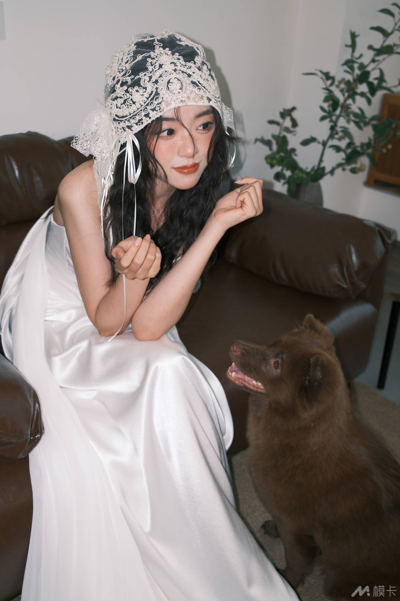 作品图片