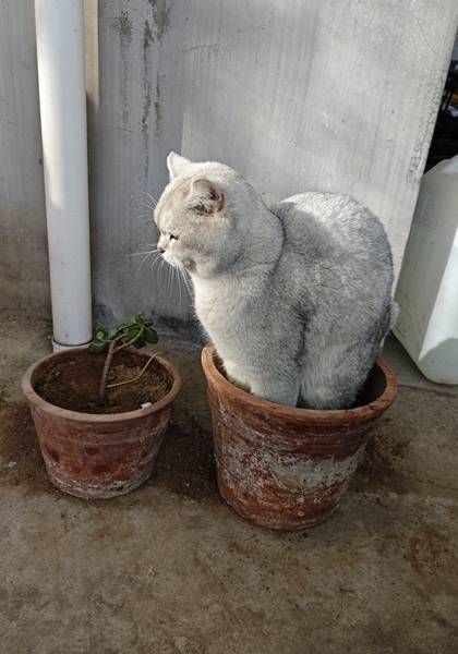 推荐艺人