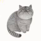 头像