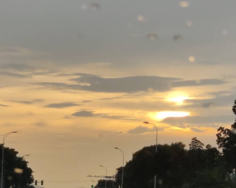 艺人背景图