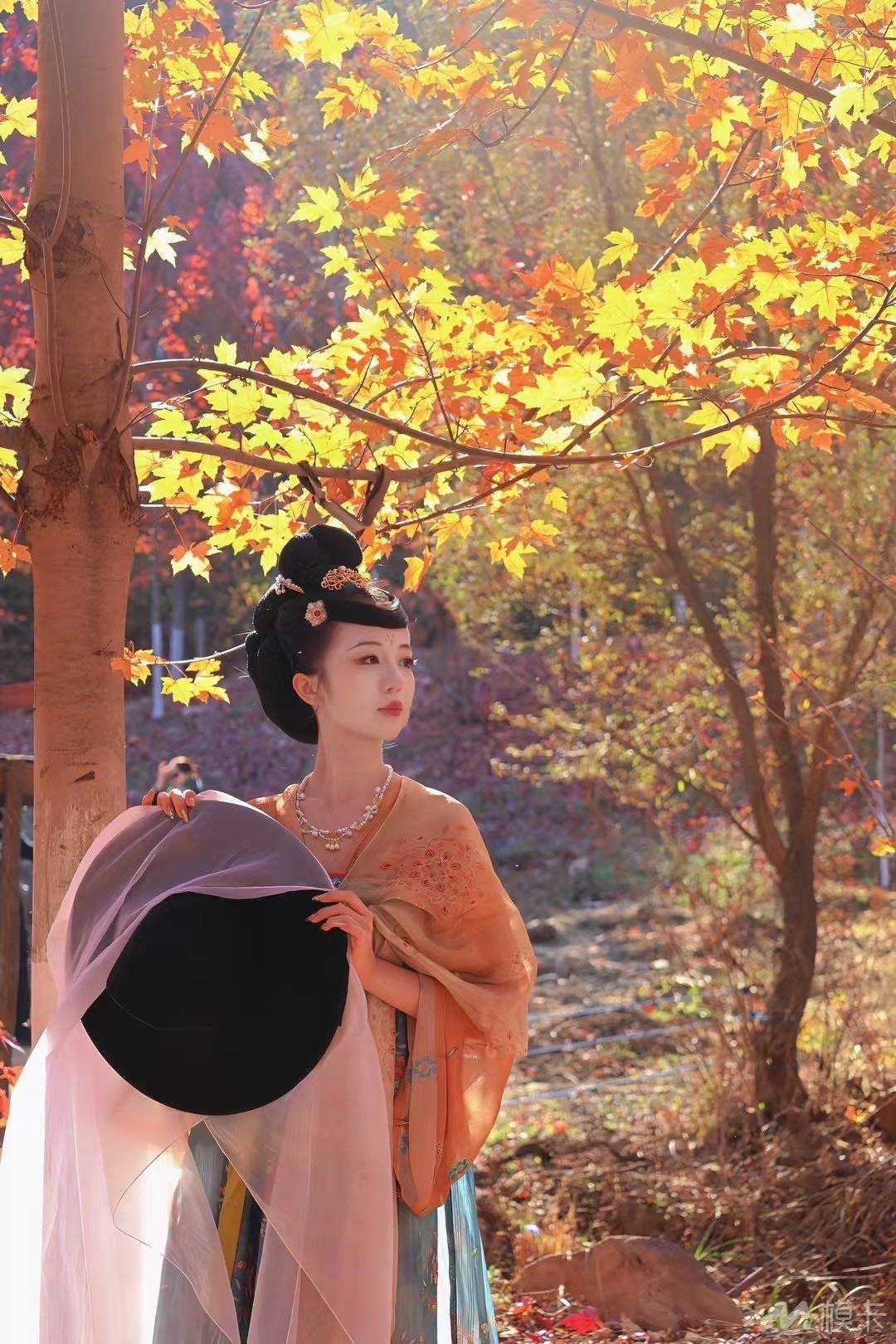 作品图片