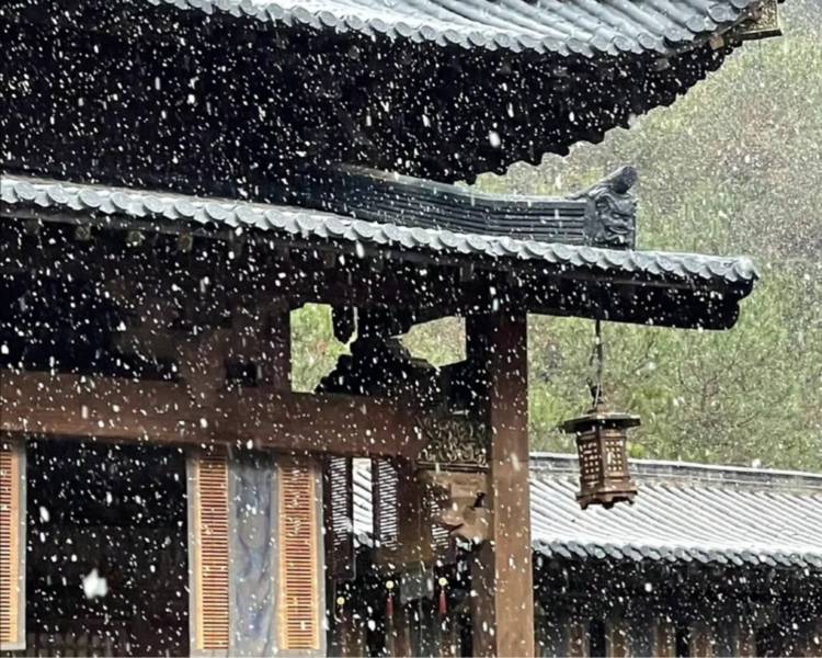艺人背景图
