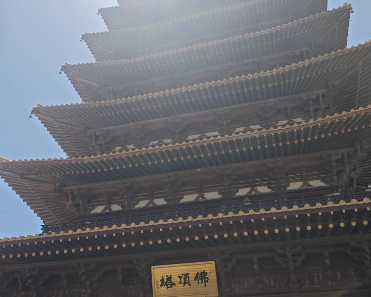 艺人背景图