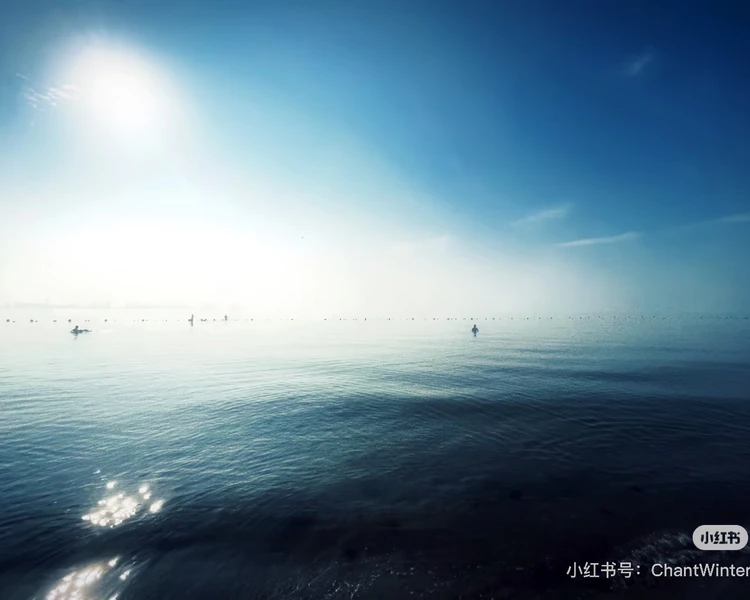 艺人背景图