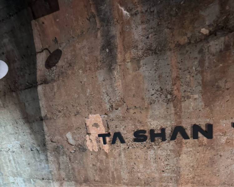 艺人背景图