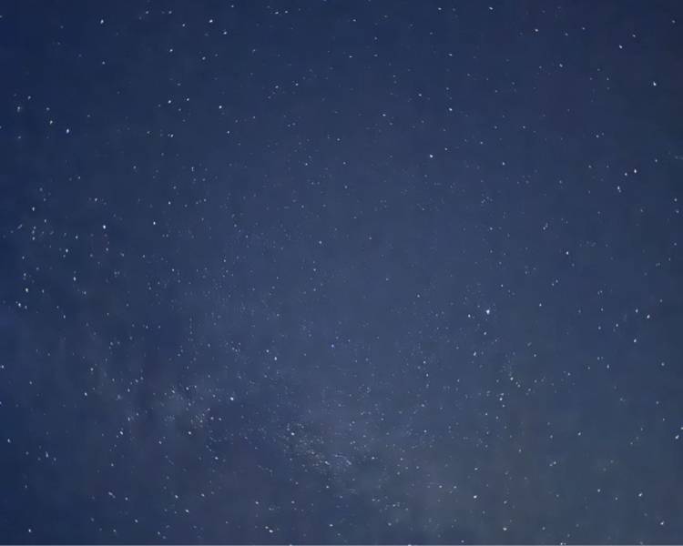 艺人背景图