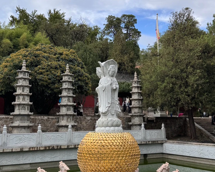 艺人背景图