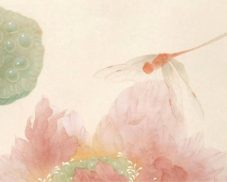 艺人背景图