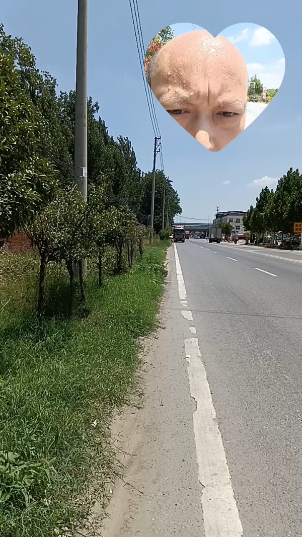推荐作品