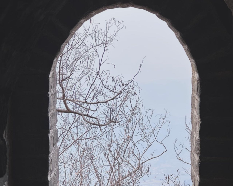 艺人背景图