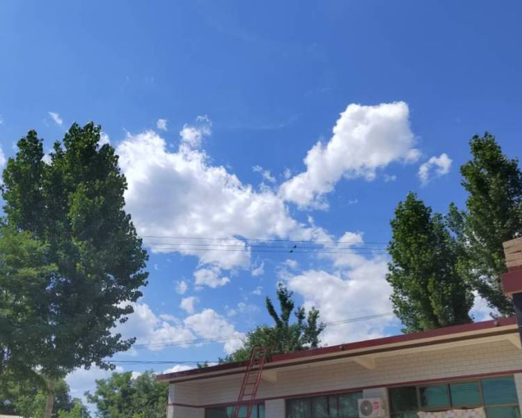 艺人背景图