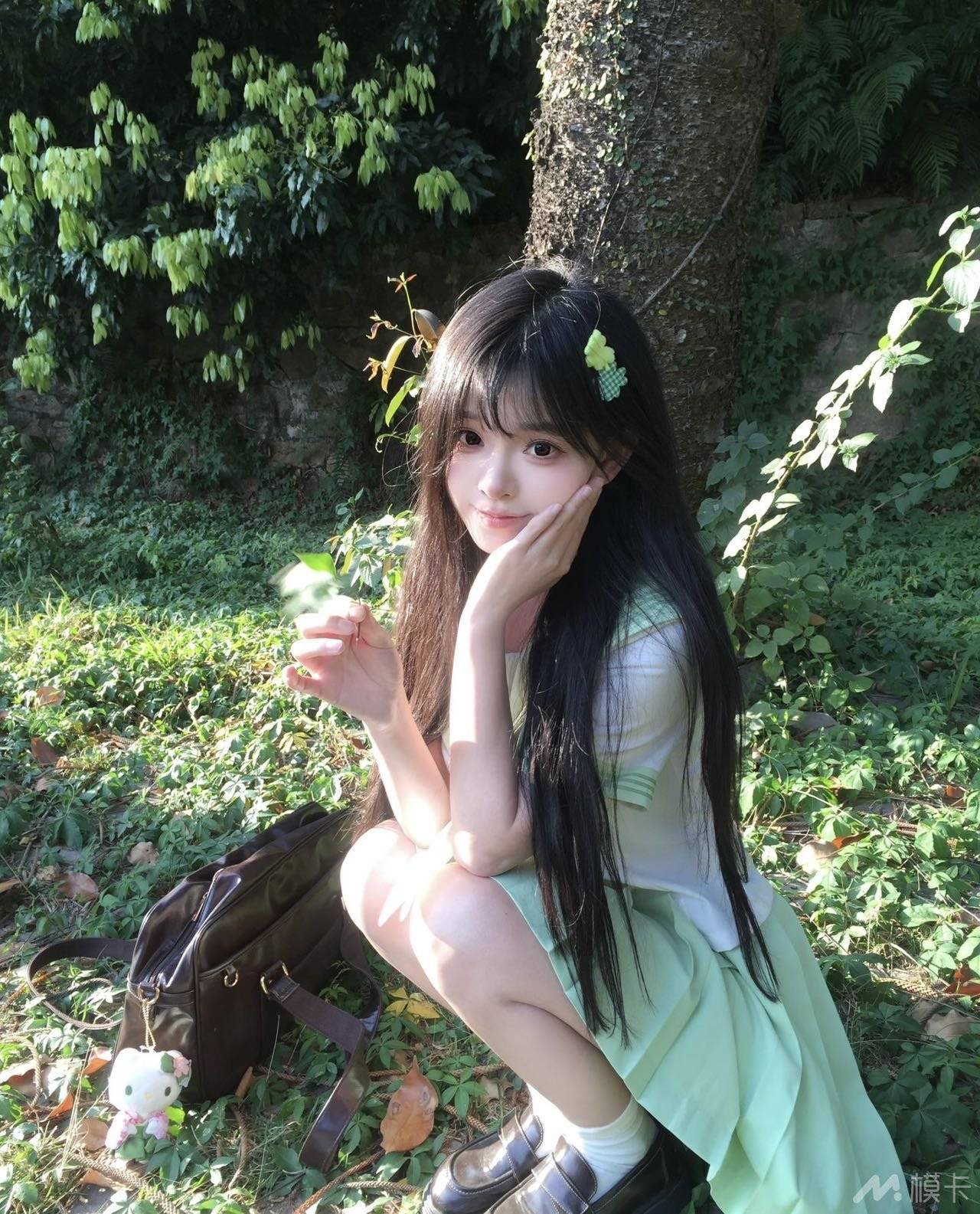 通告图片