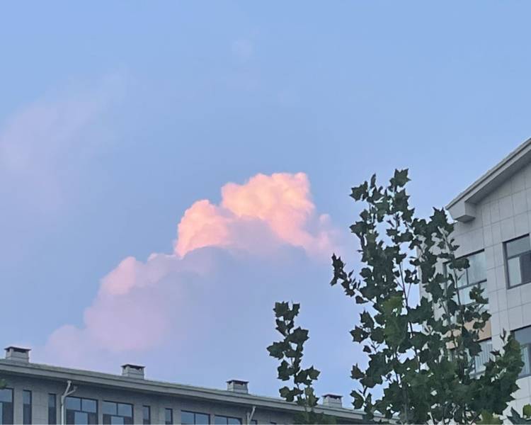 艺人背景图
