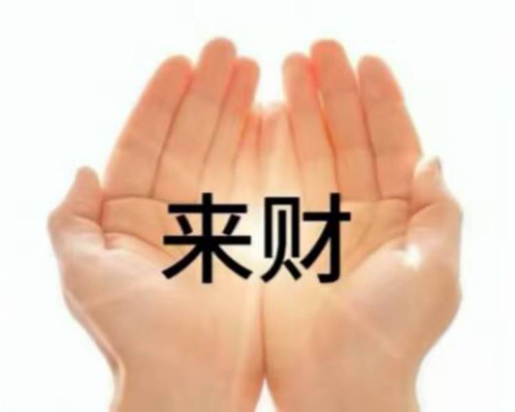艺人背景图