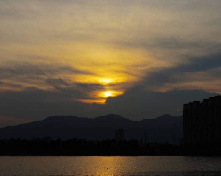 艺人背景图