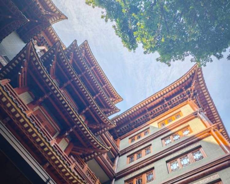 艺人背景图