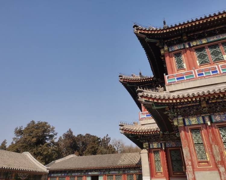 艺人背景图