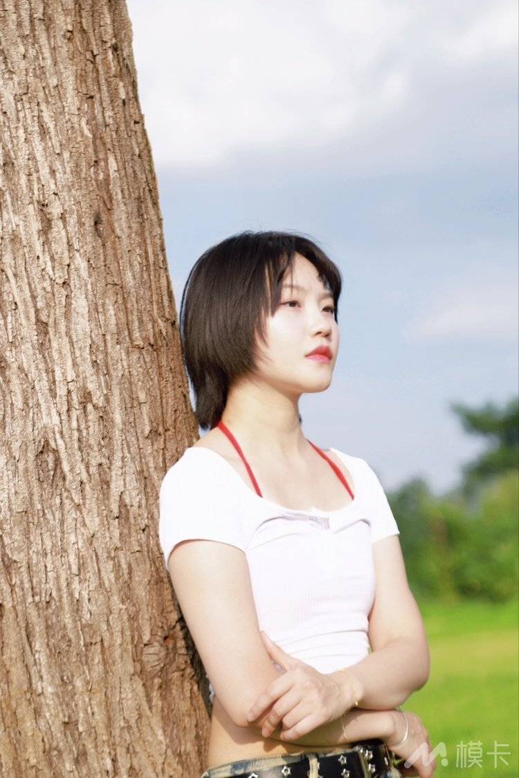 作品图片