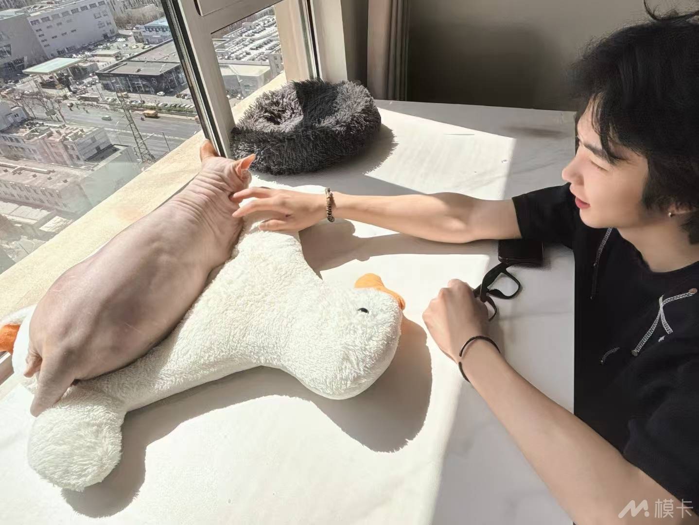 作品图片