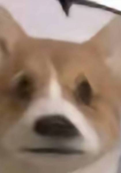 推荐艺人