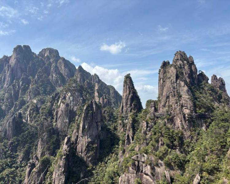 艺人背景图