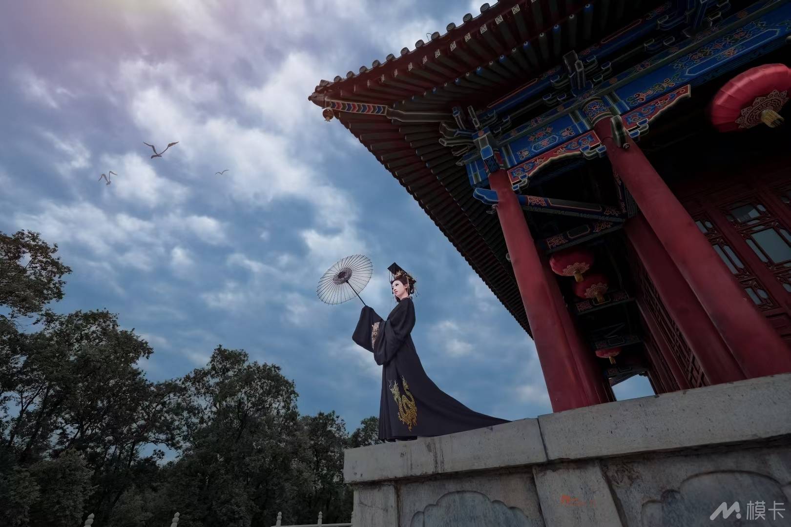 作品图片