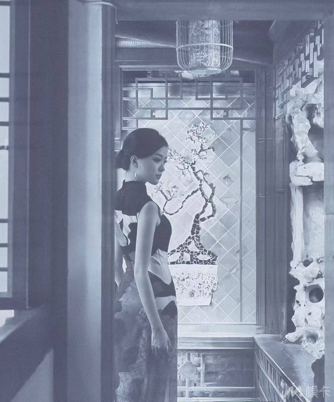 作品图片
