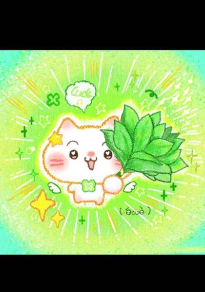 推荐艺人