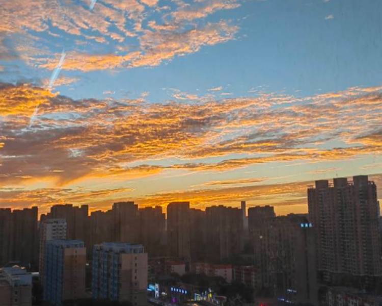 艺人背景图