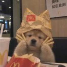 头像