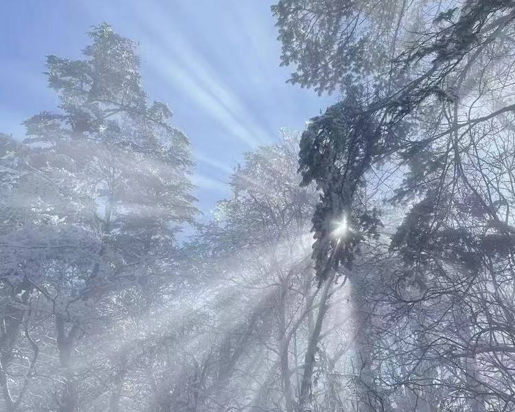 艺人背景图