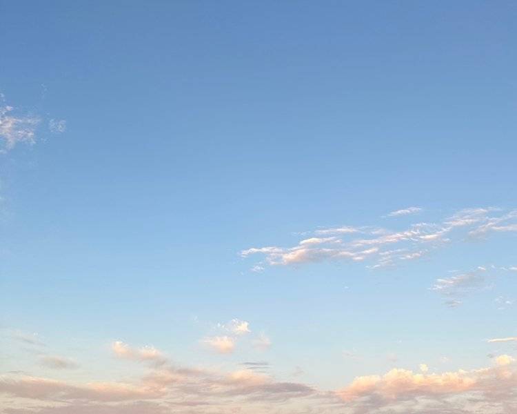艺人背景图