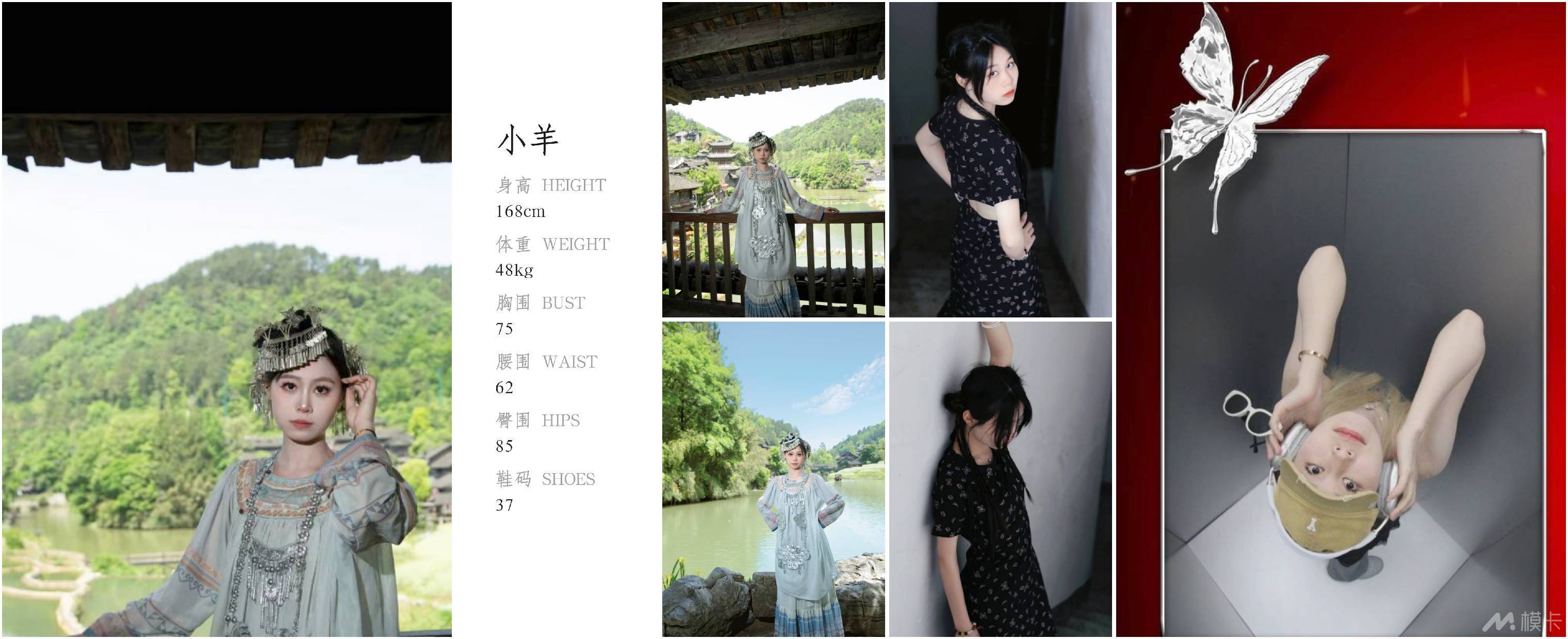 作品图片
