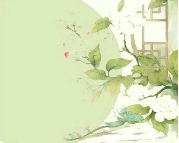 艺人背景图