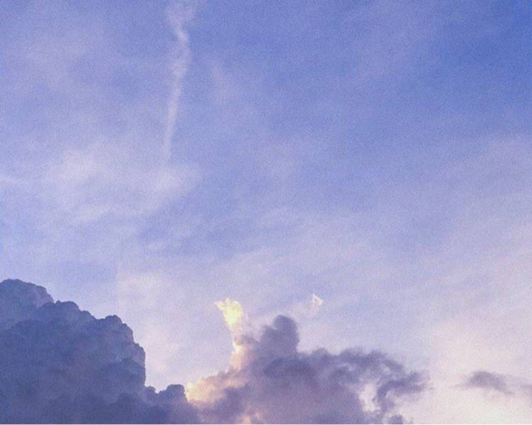 艺人背景图