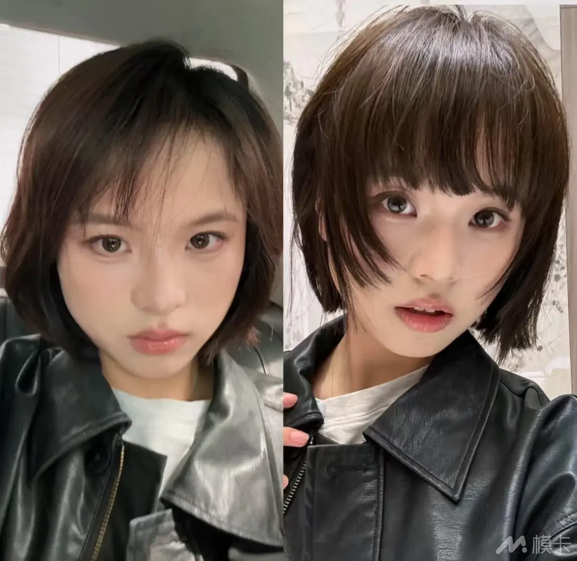 通告图片