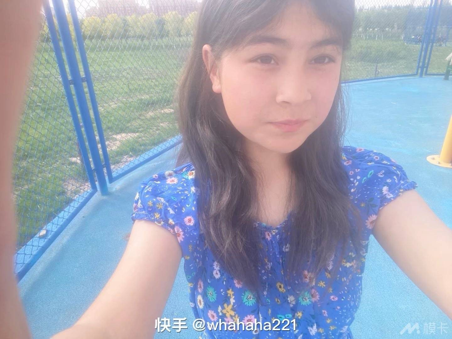作品图片