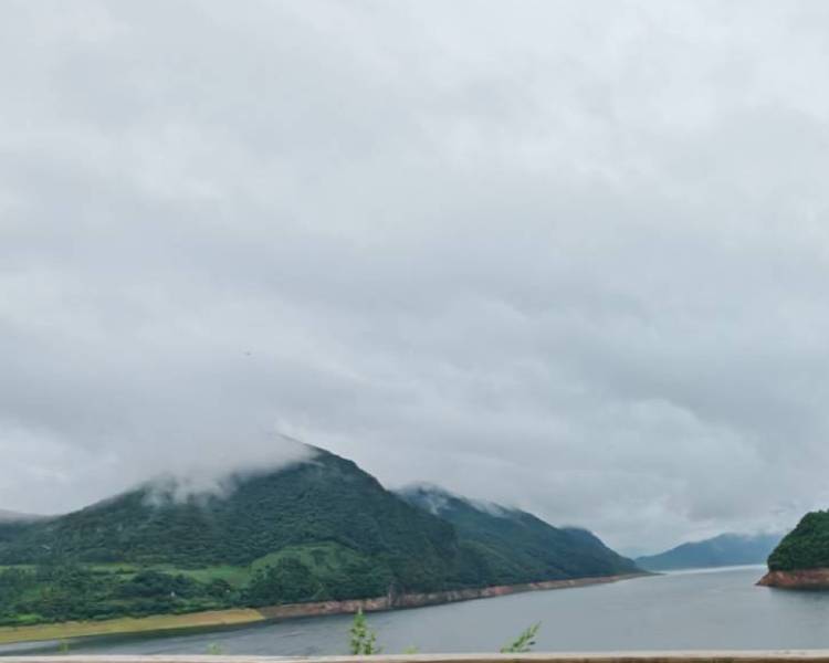 艺人背景图
