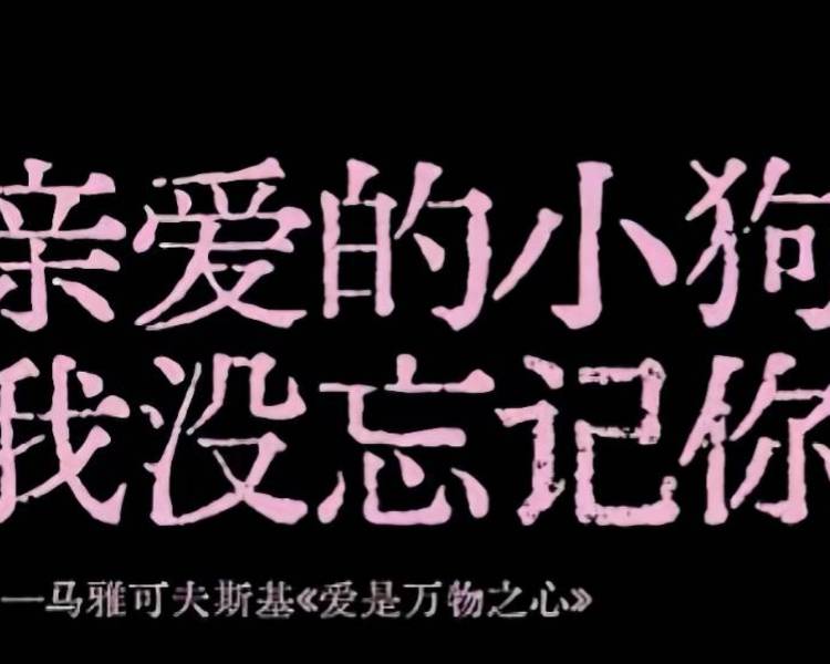 艺人背景图