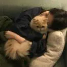 头像