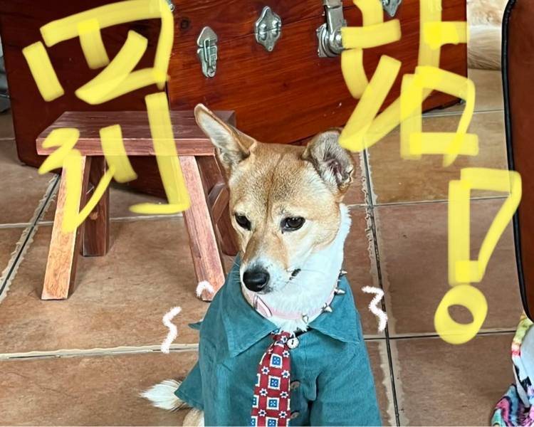 艺人背景图