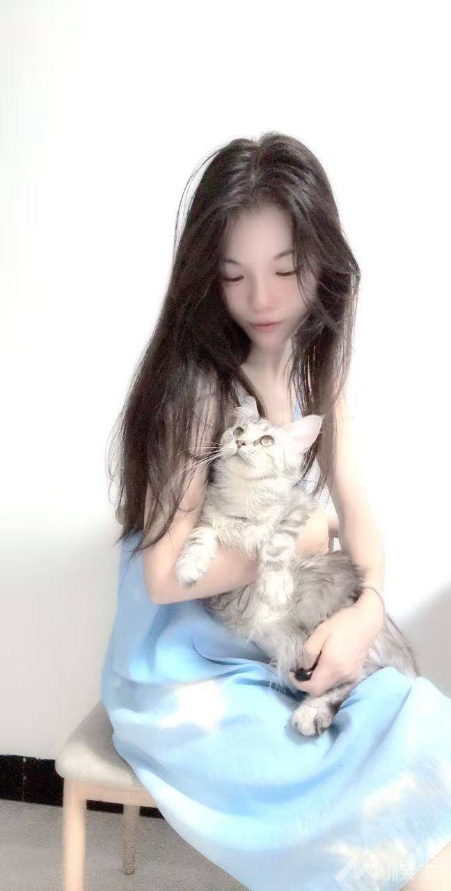 作品图片