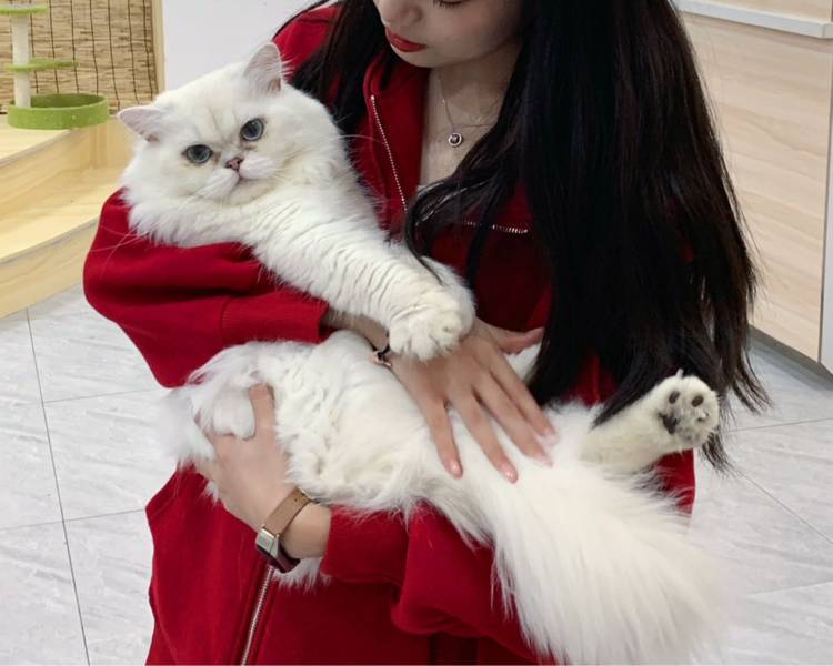 艺人背景图
