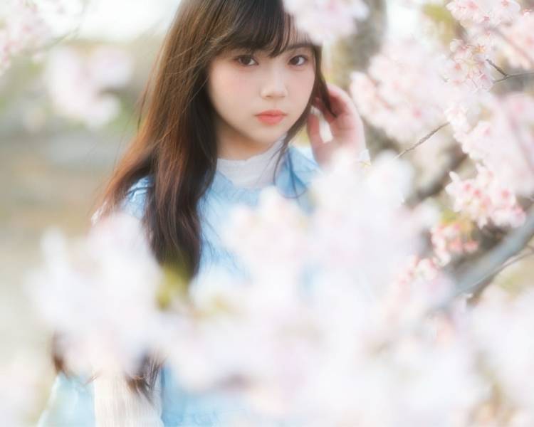 艺人背景图