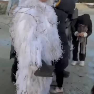 经历图片