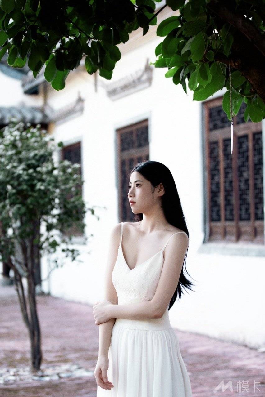 作品图片