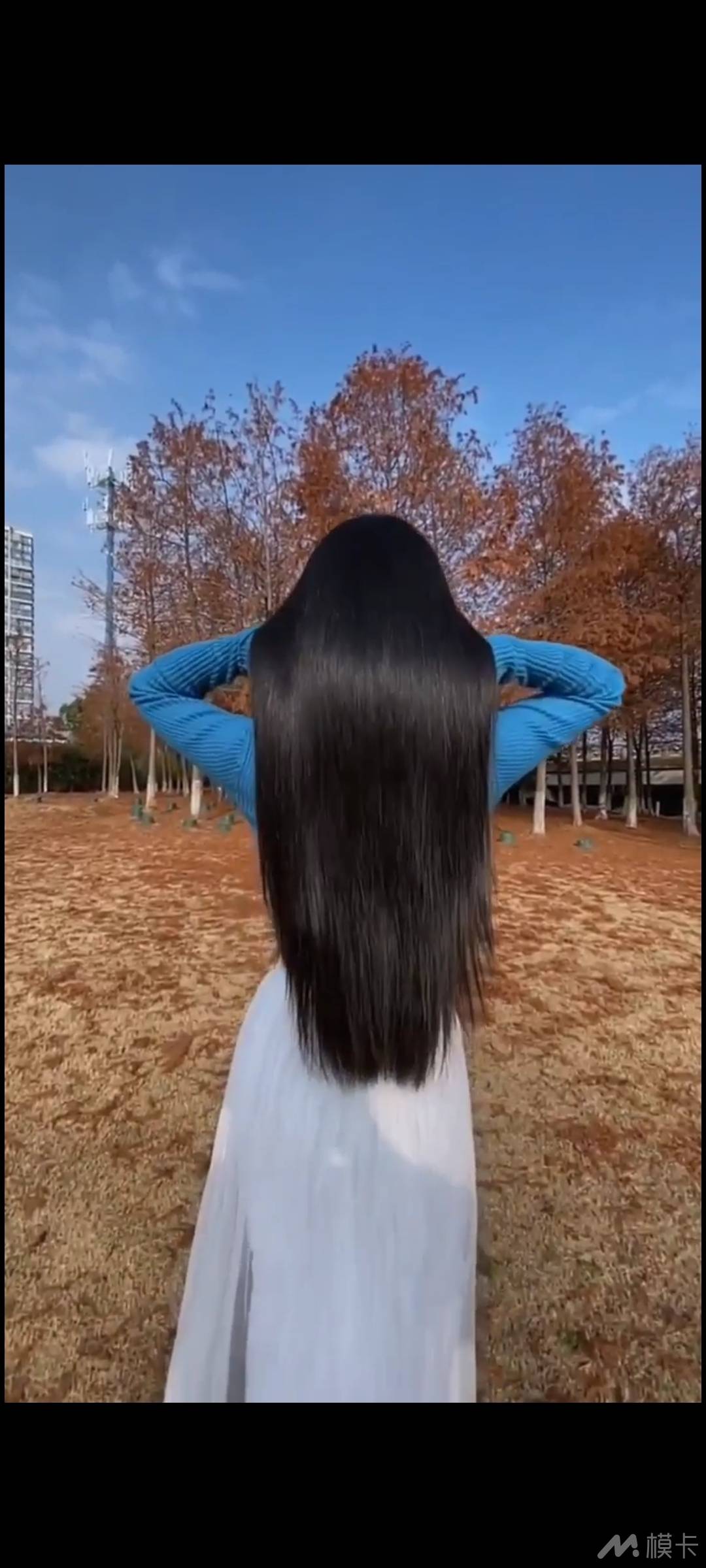 通告图片